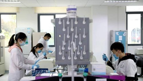 研究生被師哥師姐要求打雜，該說“不”嗎？——新材料技術開發中的成長智慧