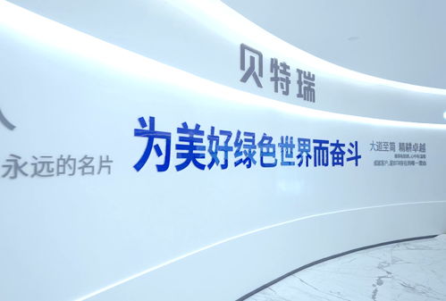 高首效硅氧負(fù)極材料奪冠灣高賽，賀雪琴深度解讀項(xiàng)目含金量